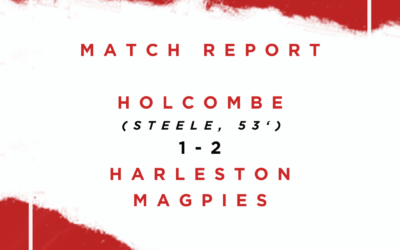 Match report – W1s 1-2 Harleston Magpies (Division One South, 24th February, 2024)